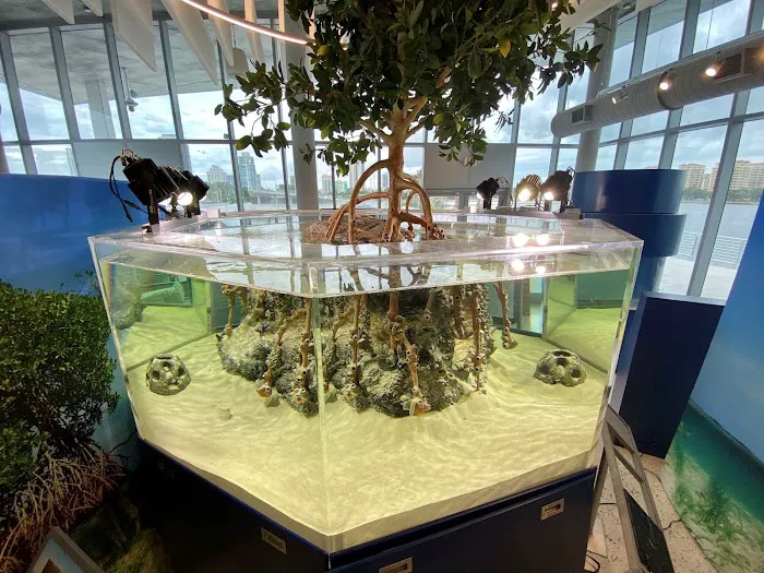 Suncoast Aquarium Inc Picture 2