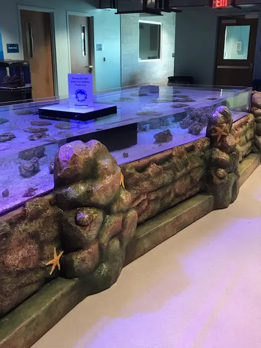 Suncoast Aquarium Inc Picture 4
