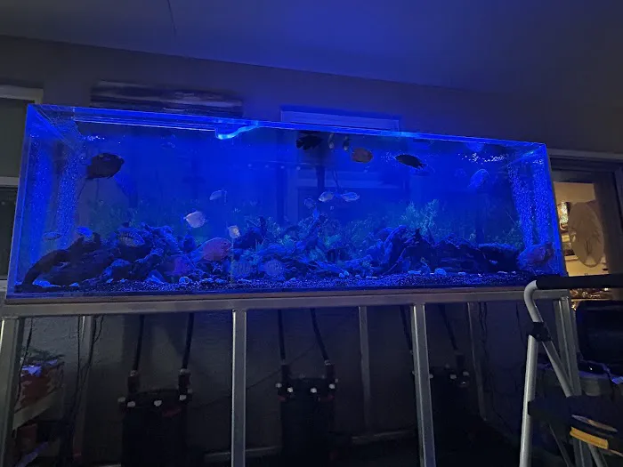 Suncoast Aquarium Inc Picture 1