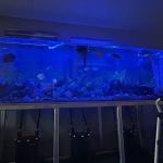 Suncoast Aquarium Inc
