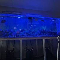 Suncoast Aquarium Inc ico