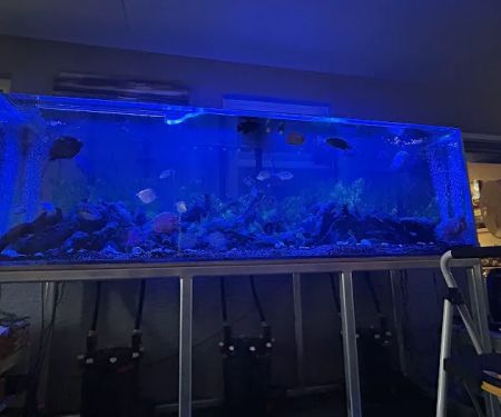 Suncoast Aquarium Inc