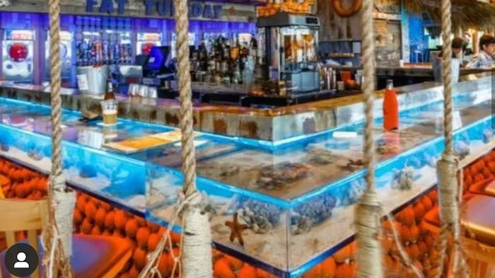 Suncoast Aquarium Inc Picture 9