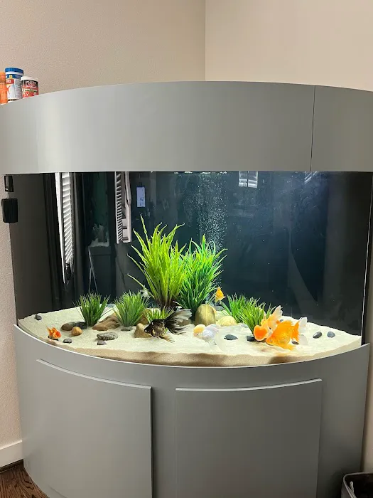 Suncoast Aquarium Inc Picture 6