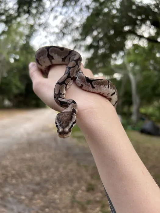 Largo Reptile Expo Show Me Reptile Show Picture 2