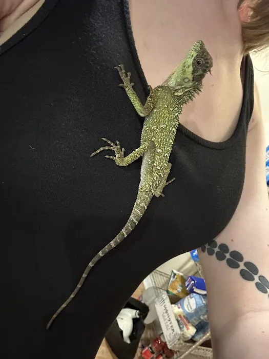 Largo Reptile Expo Show Me Reptile Show Picture 5