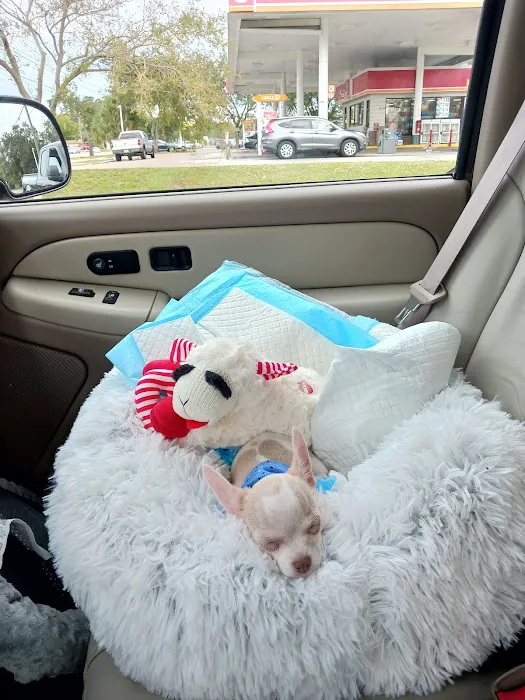 All About Puppies Picture 5