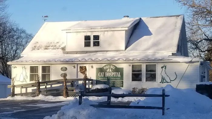 Paris Hill Cat Hospital Picture 2