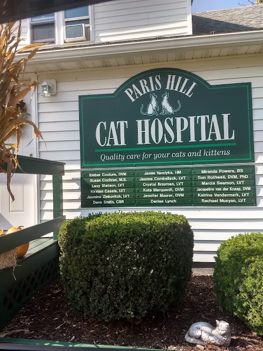 Paris Hill Cat Hospital Picture 7