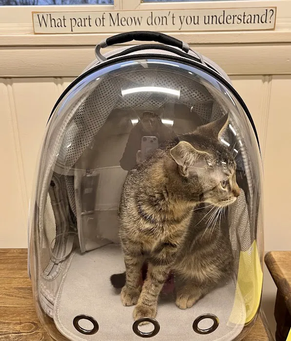 Paris Hill Cat Hospital Picture 10
