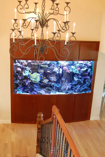 Aquarium Quest Picture 7