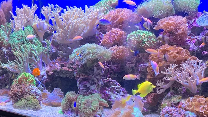 Aquarium Quest Picture 10