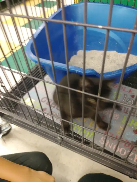 Pet Supplies Plus Pinellas Park Picture 8