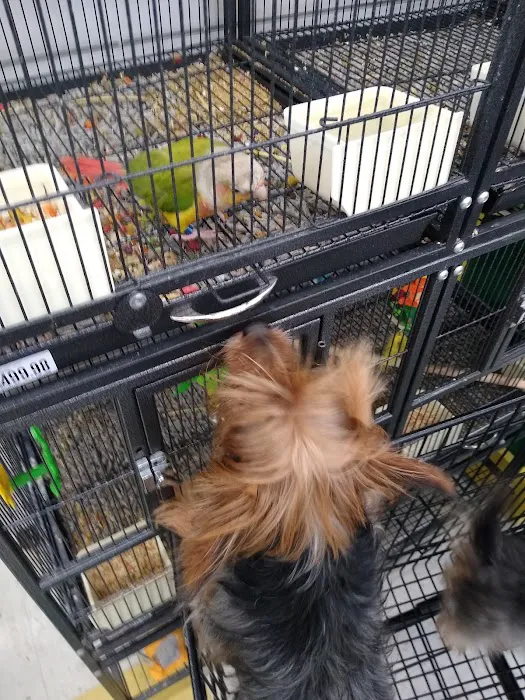 Pet Supplies Plus Pinellas Park Picture 2