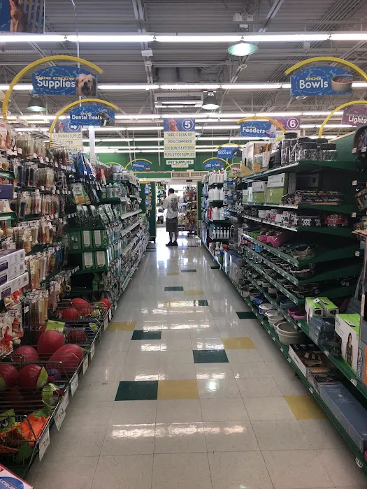 Pet Supplies Plus Pinellas Park Picture 4