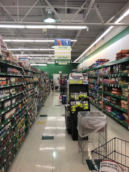 Pet Supplies Plus Pinellas Park Picture 1