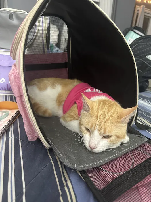 Advanced Veterinary Care Picture 10