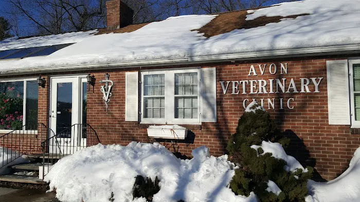 Avon Veterinary Clinic Picture 4
