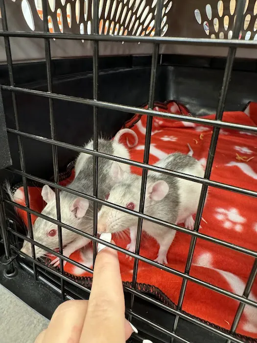 Petland Largo Picture 9