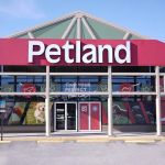 Petland Largo