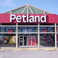 Petland Largo ico