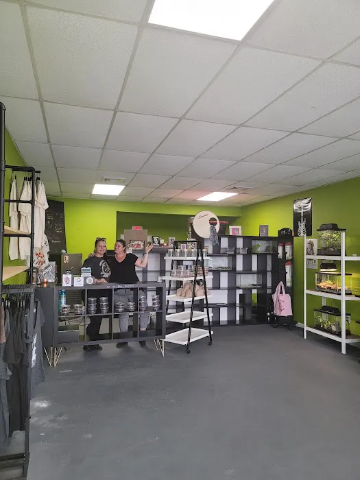 Indigo Reptile Co. Picture 2