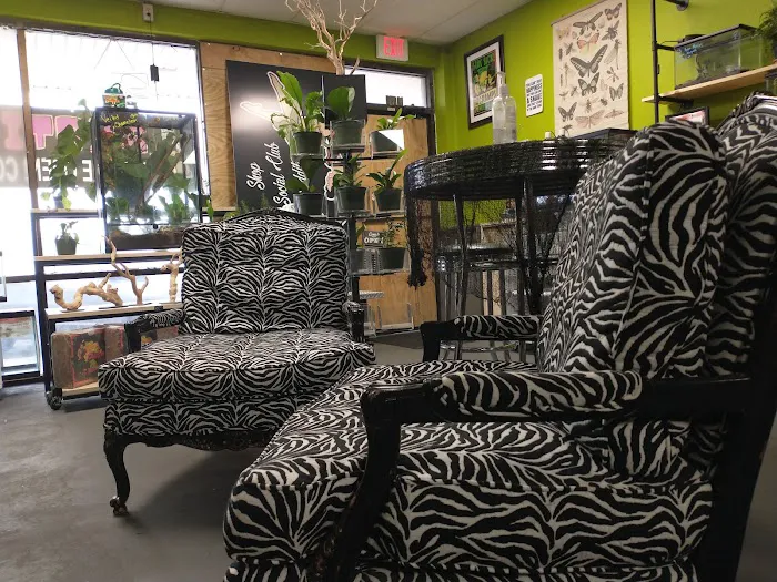 Indigo Reptile Co. Picture 6