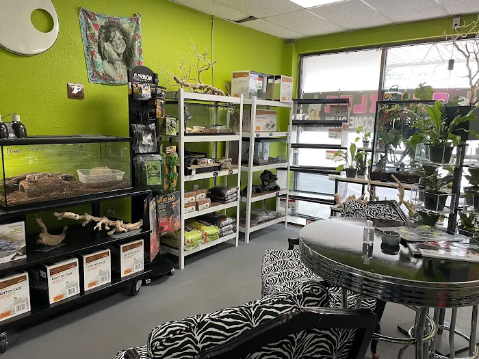 Indigo Reptile Co. Picture 7
