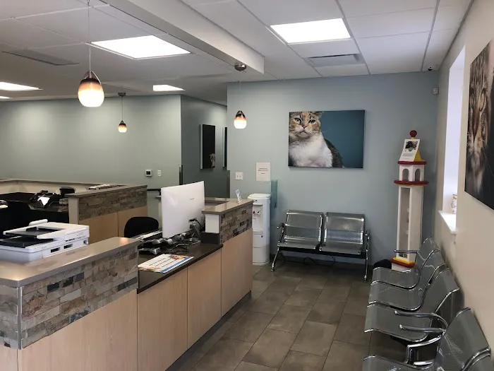 VCA Old Canal Animal Hospital Picture 7