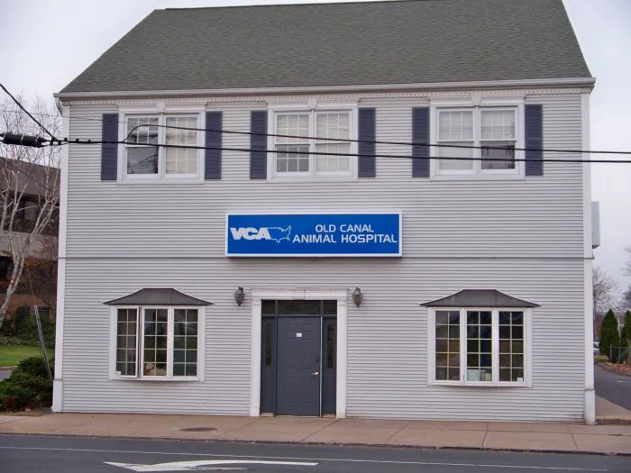 VCA Old Canal Animal Hospital Picture 4
