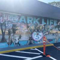 Bark Life, St. Petersburg ico