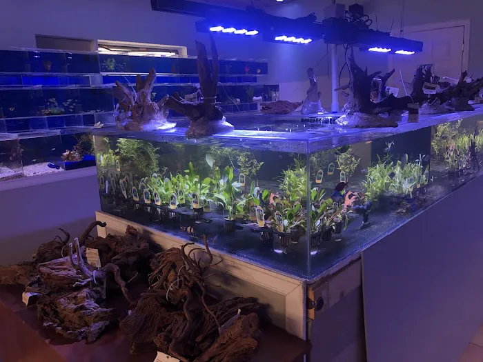 A Tropical Reef Picture 5