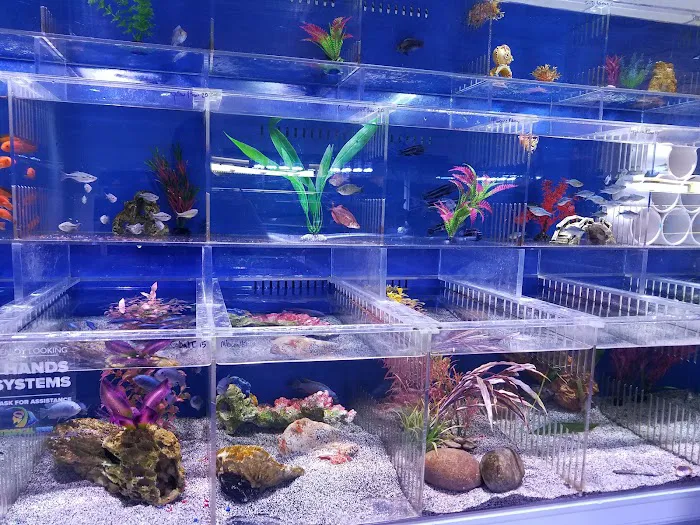 A Tropical Reef Picture 2