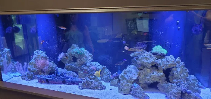 A Tropical Reef Picture 3