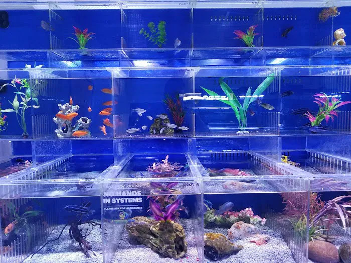A Tropical Reef Picture 4