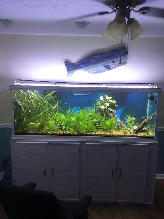 A&R Aquariums Picture 1