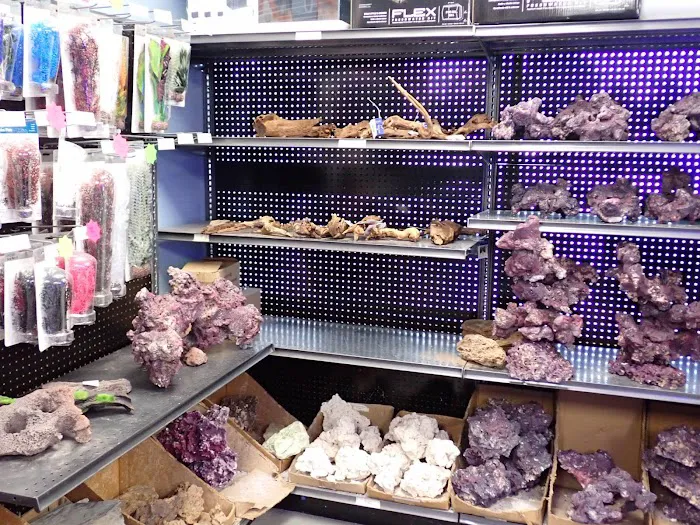 A&R Aquariums Picture 8