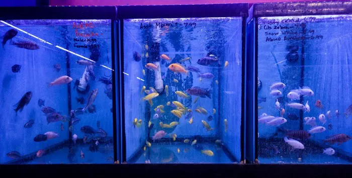 A&R Aquariums Picture 4