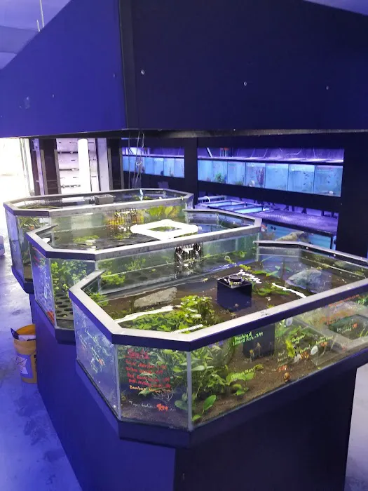 A&R Aquariums Picture 3