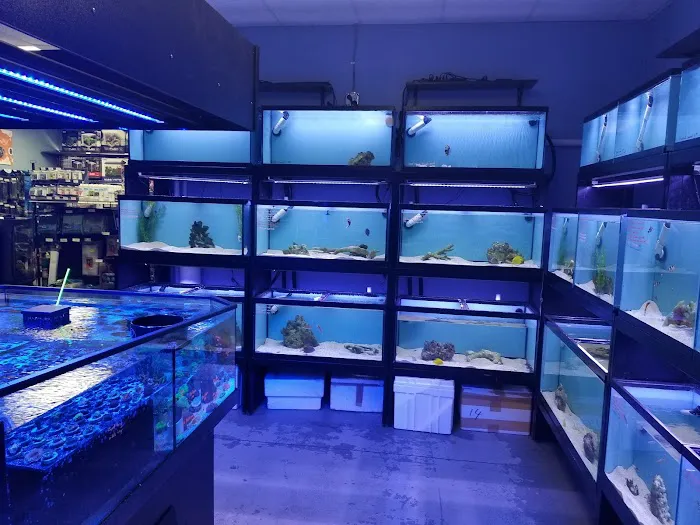 A&R Aquariums Picture 5