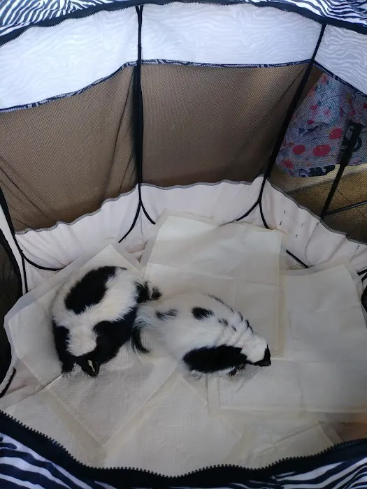 Pet Supermarket Picture 9