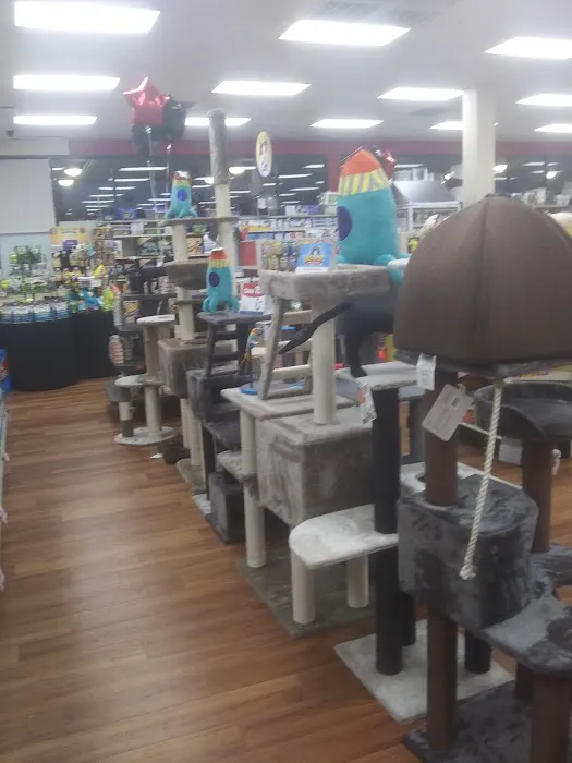 Pet Supermarket Picture 6