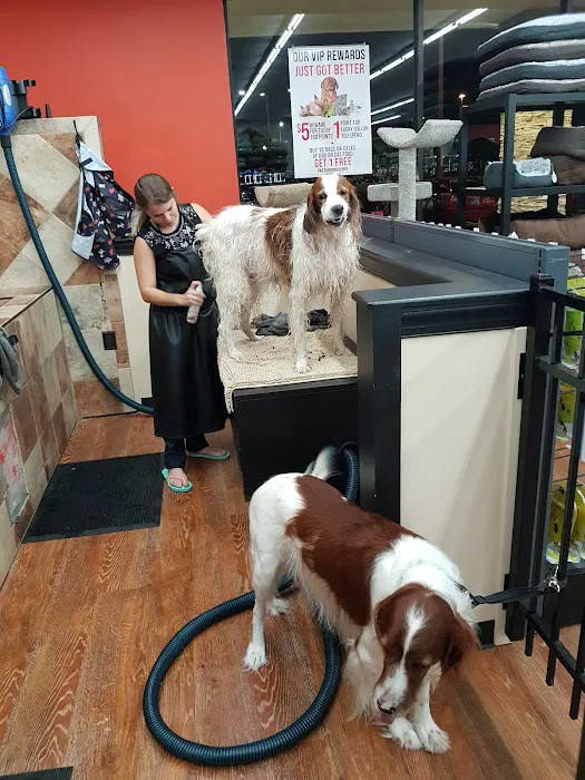 Pet Supermarket Picture 4