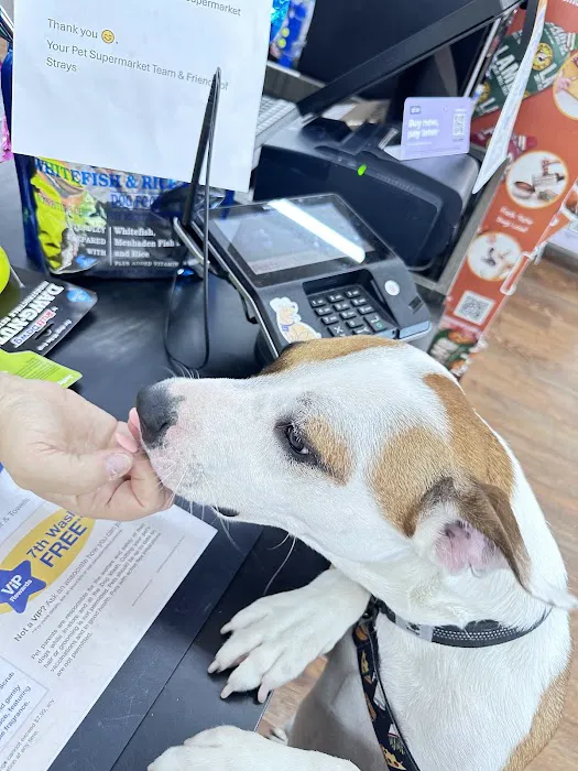 Pet Supermarket Picture 2