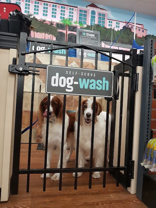 Pet Supermarket Picture 9