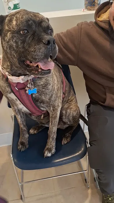 Banfield Pet Hospital Picture 1