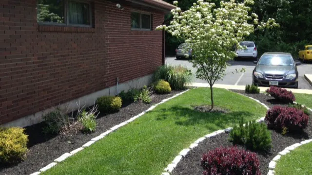 Southington Veterinary Associates Picture 2