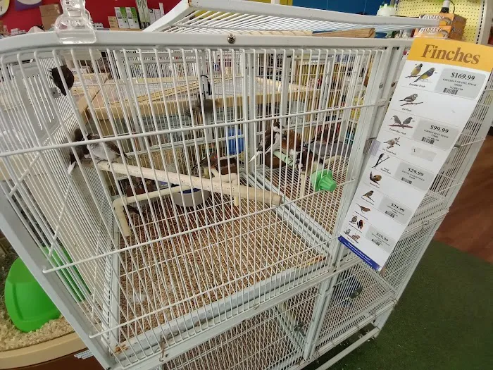 Pet Supermarket Picture 4