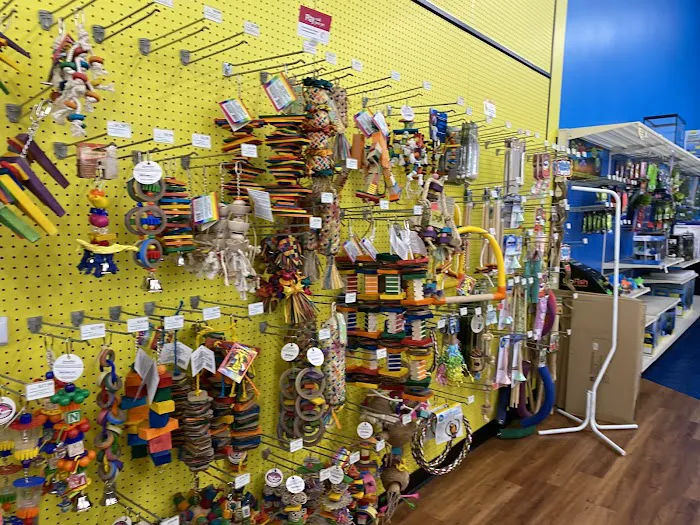 Pet Supermarket Picture 5