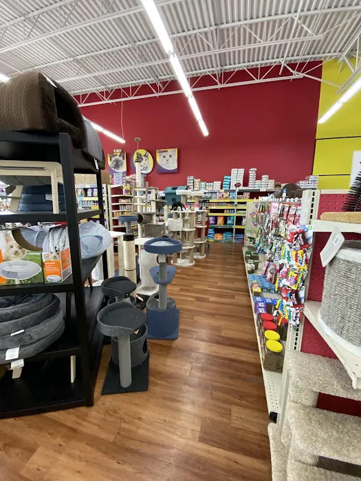 Pet Supermarket Picture 9